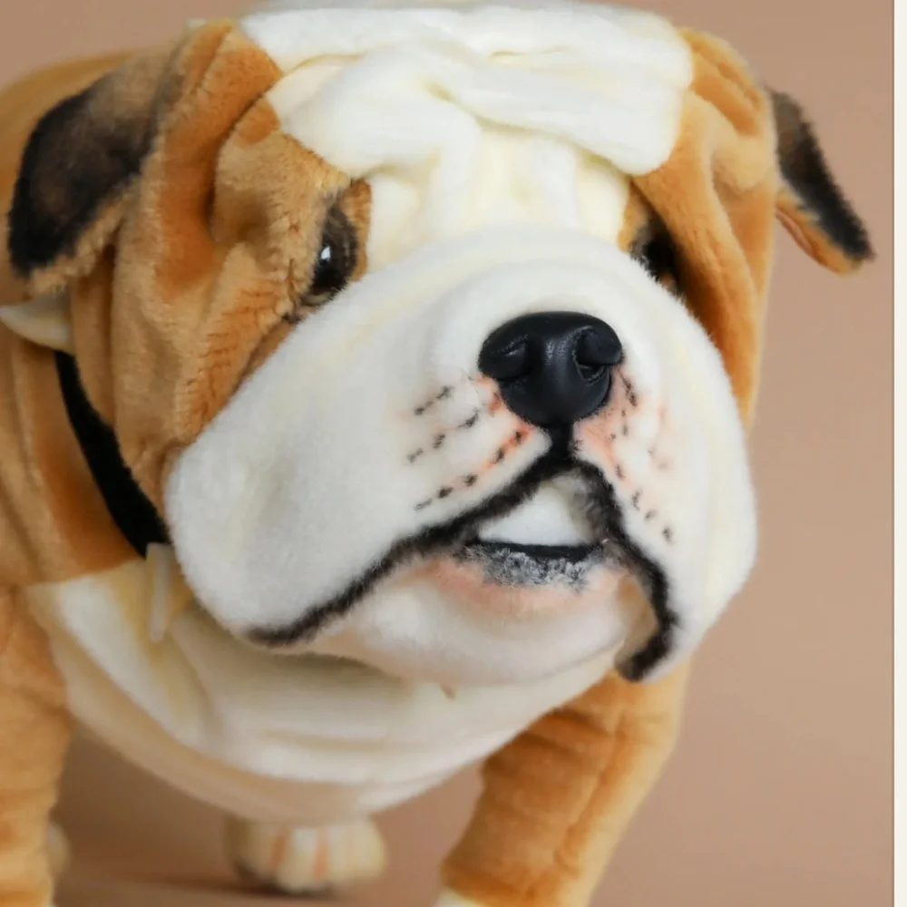 Odin Parker Bulldog - Picture 4 of 7